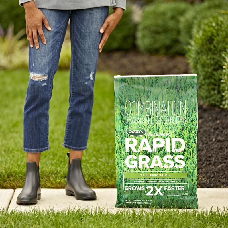 Scotts Turf Builder Rapid Grass Tall Fescue Grass Sun or Shade Grass Seed and Fertilizer 16 lb
