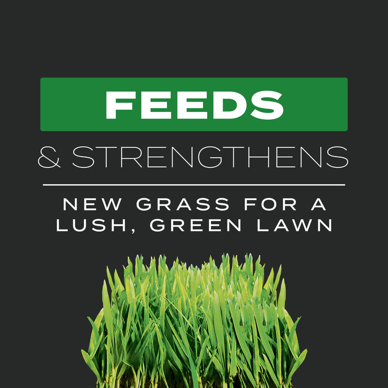 Scotts Turf Builder Pre Emergent Preventer & Fertilizer Lawn Fertilizer For All Grasses 1000 sq ft