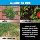 Ortho GroundClear Weed and Grass Killer RTU Liquid 24 oz