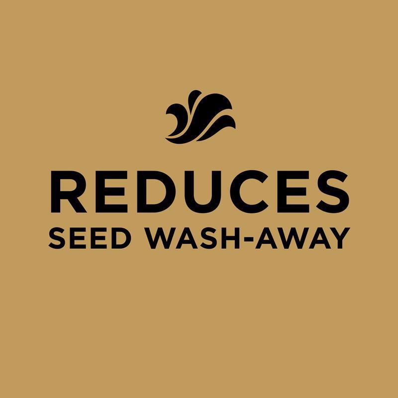 Scotts EZ Seed Tall Fescue Grass Sun or Shade Grass Spot Repair Seed 20 lb