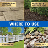 Roundup Dual Action Weed and Grass Killer Concentrate 32 oz