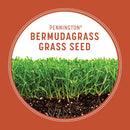 Pennington Bermuda Grass Full Sun Grass Seed 15 lb