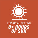 Pennington Bermuda Grass Full Sun Grass Seed 15 lb