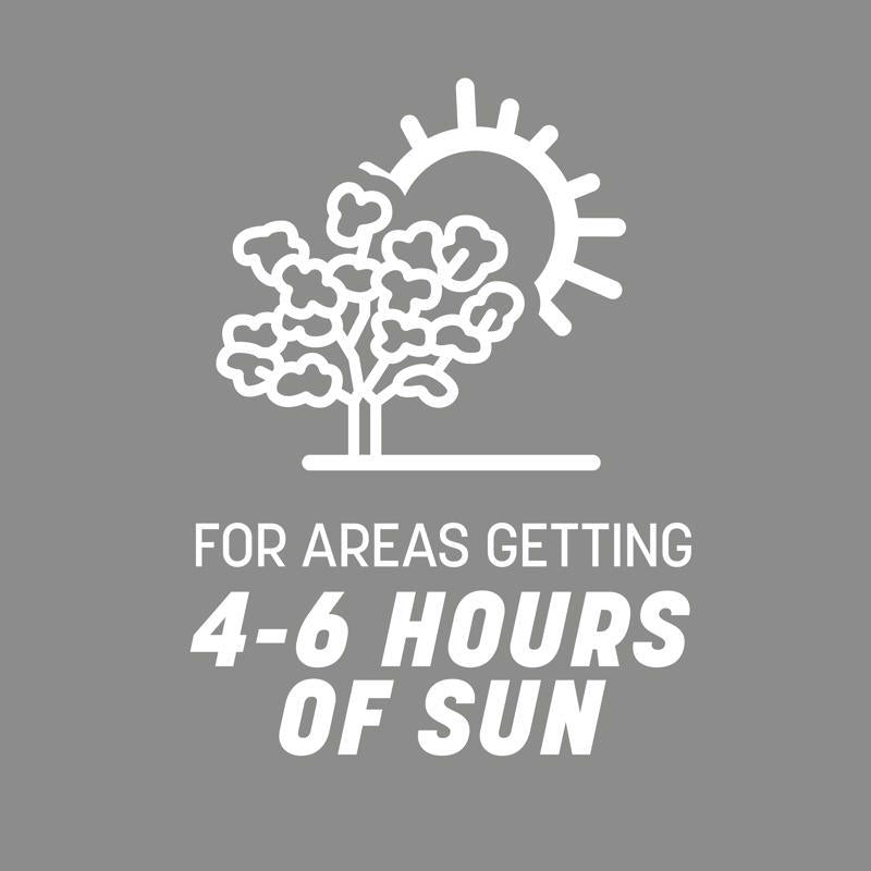 Pennington Contractors Mix Sun or Shade Grass Seed 7 lb