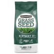 GRASS SEED KY31 TF 7#