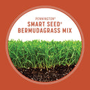 Pennington Smart Seed Bermuda Grass Full Sun Grass Seed and Fertilizer 8.75 lb