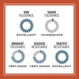 Pennington Smart Seed Bermuda Grass Full Sun Grass Seed and Fertilizer 8.75 lb