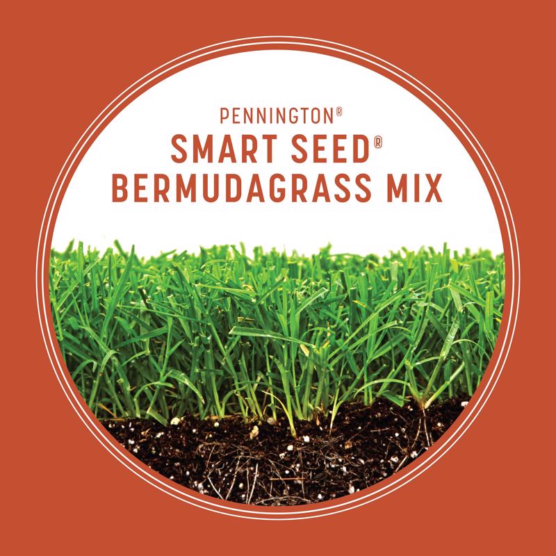 Pennington Smart Seed Bermuda Grass Full Sun Grass Seed and Fertilizer 1.75 lb