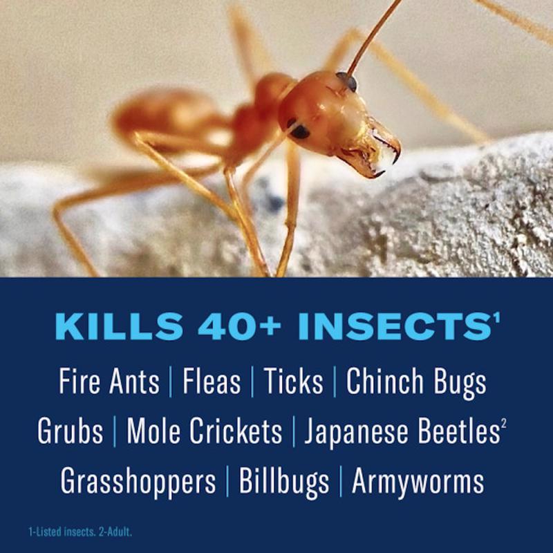 BioAdvanced Lawn Insect and Fire Ant Killer Granules 10 lb