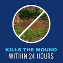 BioAdvanced Lawn Insect and Fire Ant Killer Granules 10 lb