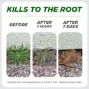 Earth's Ally Weed and Grass Killer RTU Liquid 128 oz