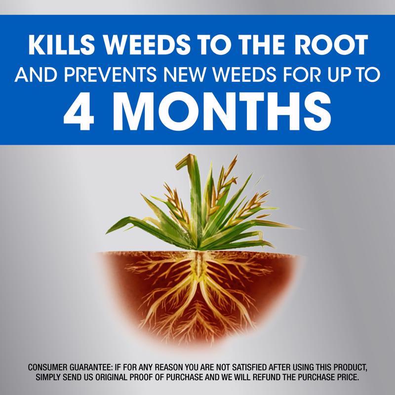 Roundup Dual Action Weed and Grass Killer + Preventer RTU Liquid 1 gal