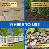 Roundup Dual Action Weed and Grass Killer + Preventer RTU Liquid 1 gal