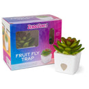 JT Eaton ZendoZones Fruit Fly Trap 1 box