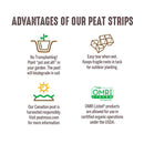 Jiffy 50 Cells 5.5 in. H X 11 in. W X 21 in. L Seed Starting Kit 1 pk