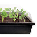 Jiffy 50 Cells 5.5 in. H X 11 in. W X 21 in. L Seed Starting Kit 1 pk