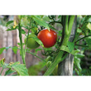 Velcro ONE-WRAP 0.5 in. W 1 pk Garden Ties