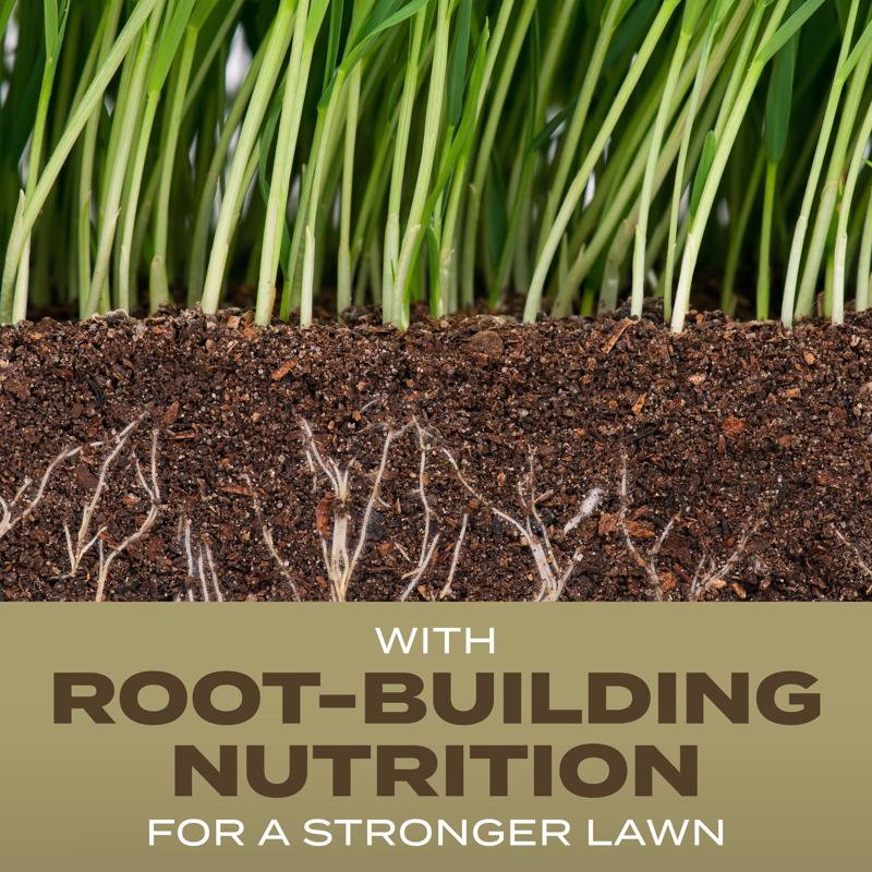 Scotts Turf Builder Tall Fescue Grass Sun or Shade Fertilizer/Seed/Soil Improver 16 lb