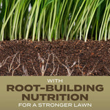 Scotts Turf Builder Tall Fescue Grass Sun or Shade Fertilizer/Seed/Soil Improver 32 lb