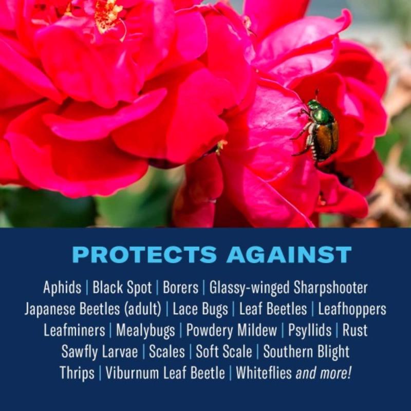 BioAdvanced All-in-One Roses and Flowers 9-14-9 Rose & Flower Fertilizer/Insecticide/Disease Control