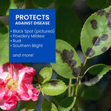 BioAdvanced All-in-One Roses and Flowers 9-14-9 Rose & Flower Fertilizer/Insecticide/Disease Control