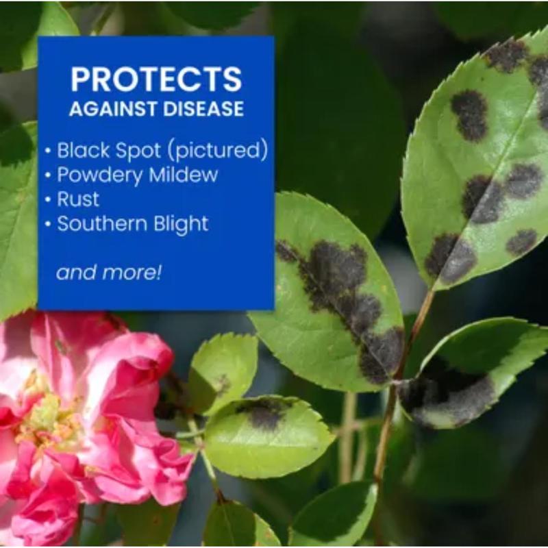 BioAdvanced All-in-One Roses and Flowers 9-14-9 Rose & Flower Fertilizer/Insecticide/Disease Control