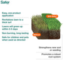 Safer Brand Lawn Restore All-Purpose Lawn Fertilizer For All Grasses 5000 sq ft