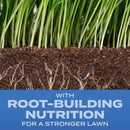 Scotts Turf Builder Mixed Sun or Shade Fertilizer/Seed/Soil Improver 5.6 lb