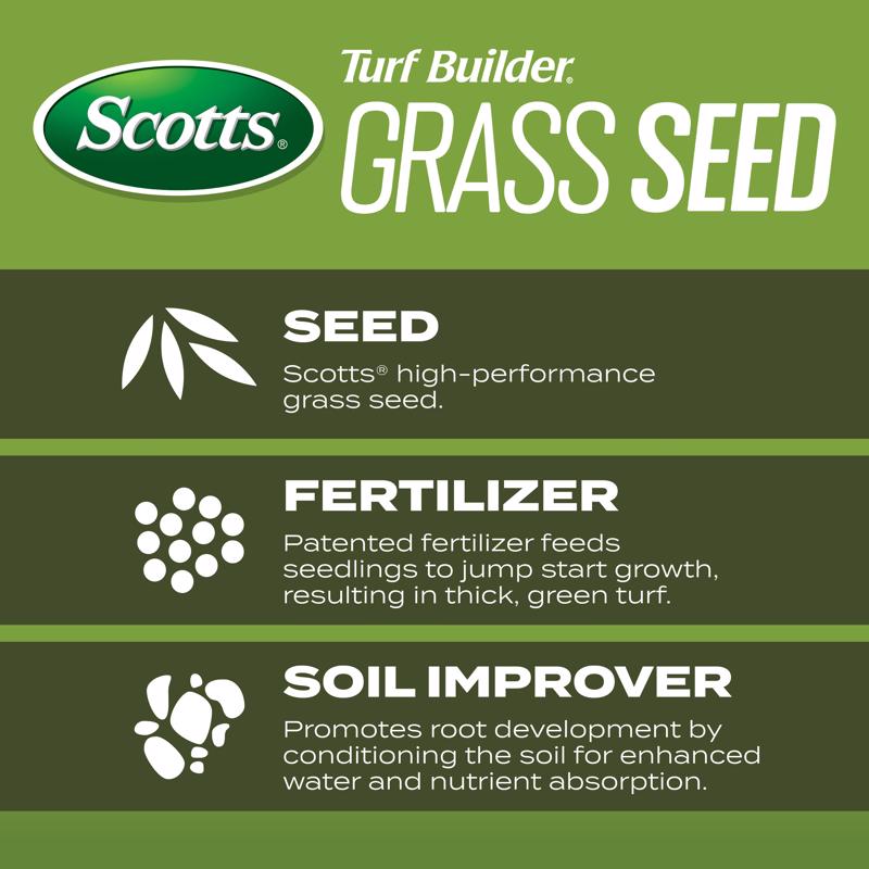 Scotts Turf Builder Tall Fescue Grass Sun or Shade Fertilizer/Seed/Soil Improver 5.6 lb