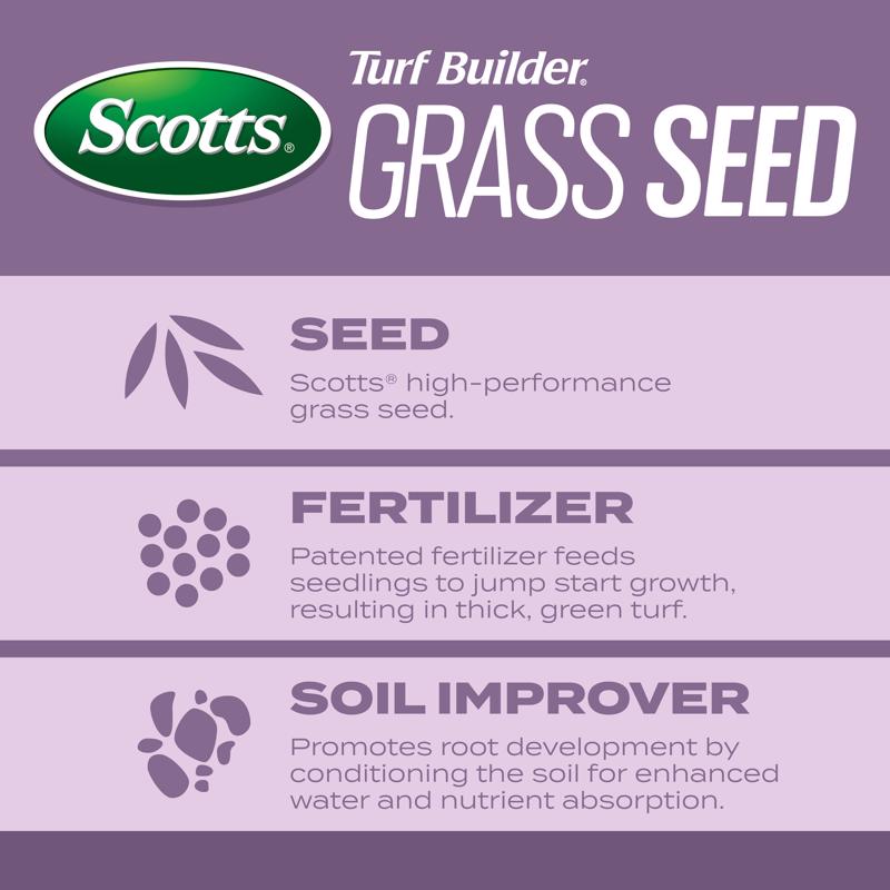 Scotts Turf Builder Perennial Ryegrass Sun or Shade Fertilizer/Seed/Soil Improver 2.4 lb