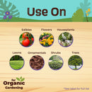 Bonide Liquid Copper Concentrated Liquid Fungicide 16 oz