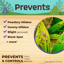 Bonide Liquid Copper Concentrated Liquid Fungicide 16 oz