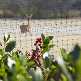 Greenscapes 50 ft. L X 3 ft. W 1 pk Garden Netting