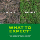 Scotts Turf Builder Rapid Grass Bermuda Grass Sun or Shade Grass Seed and Fertilizer 4 lb