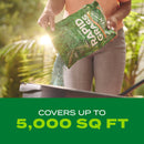 Scotts Turf Builder Rapid Grass Bermuda Grass Sun or Shade Grass Seed and Fertilizer 4 lb