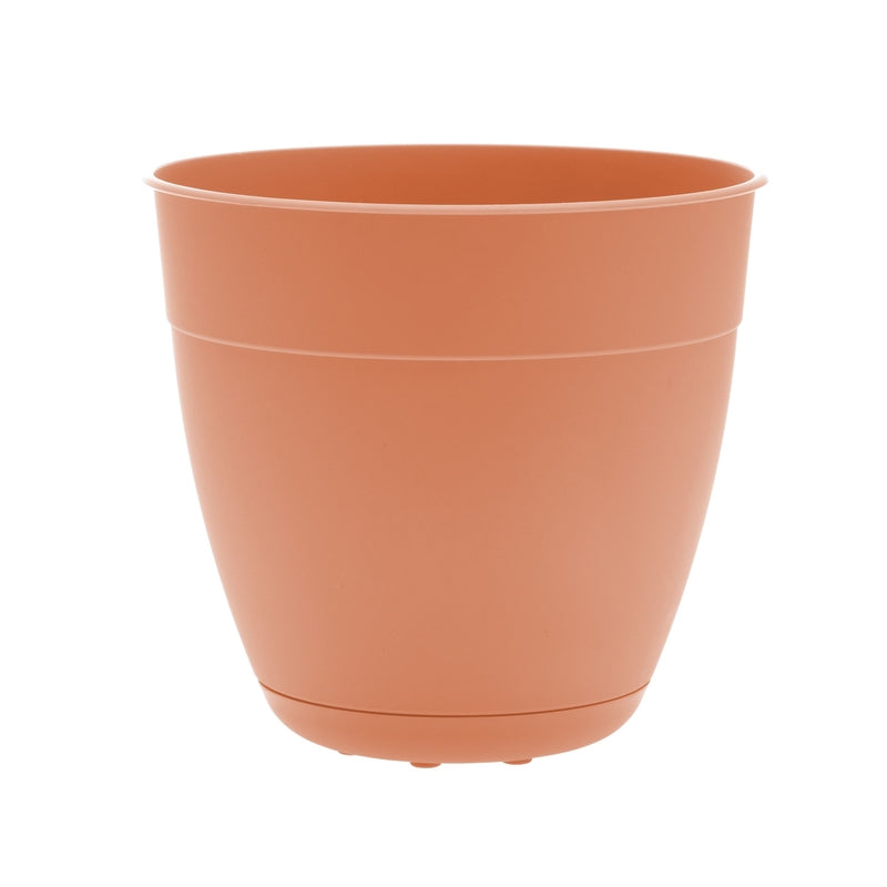 PLANTR DAYTON CORL 12"D