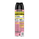 Raid Ant and Roach Killer Spray 17.5 oz