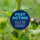 BioAdvanced Tomato & Vegetable Insect Killer Liquid 24 oz