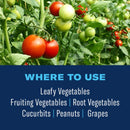 BioAdvanced Tomato & Vegetable Insect Killer Liquid 24 oz