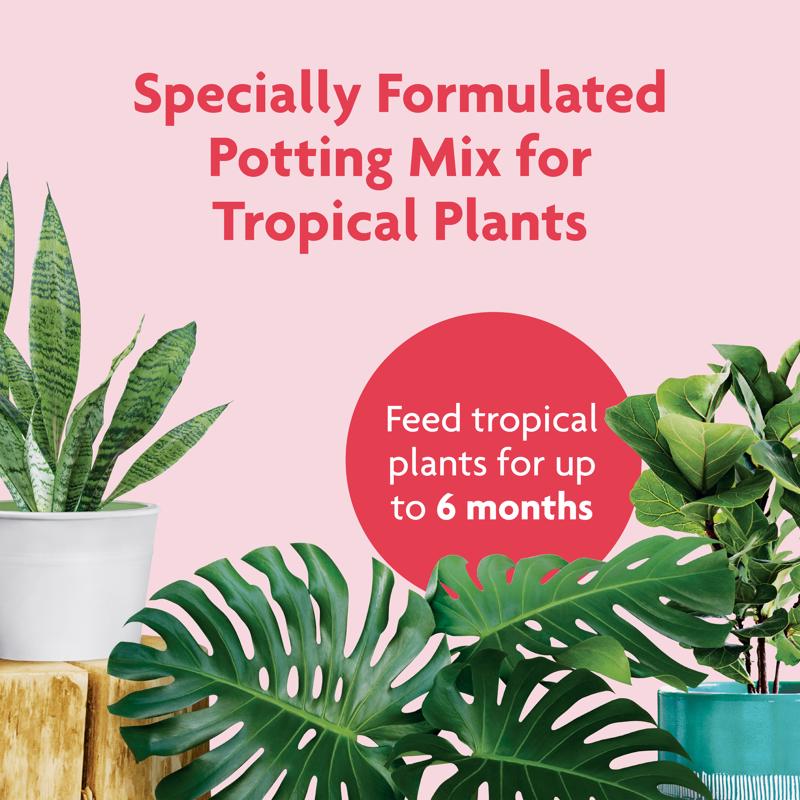 Miracle-Gro Tropical Cacti, Citrus and Palm Potting Mix 6 qt