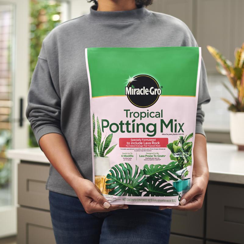 Miracle-Gro Tropical Cacti, Citrus and Palm Potting Mix 6 qt