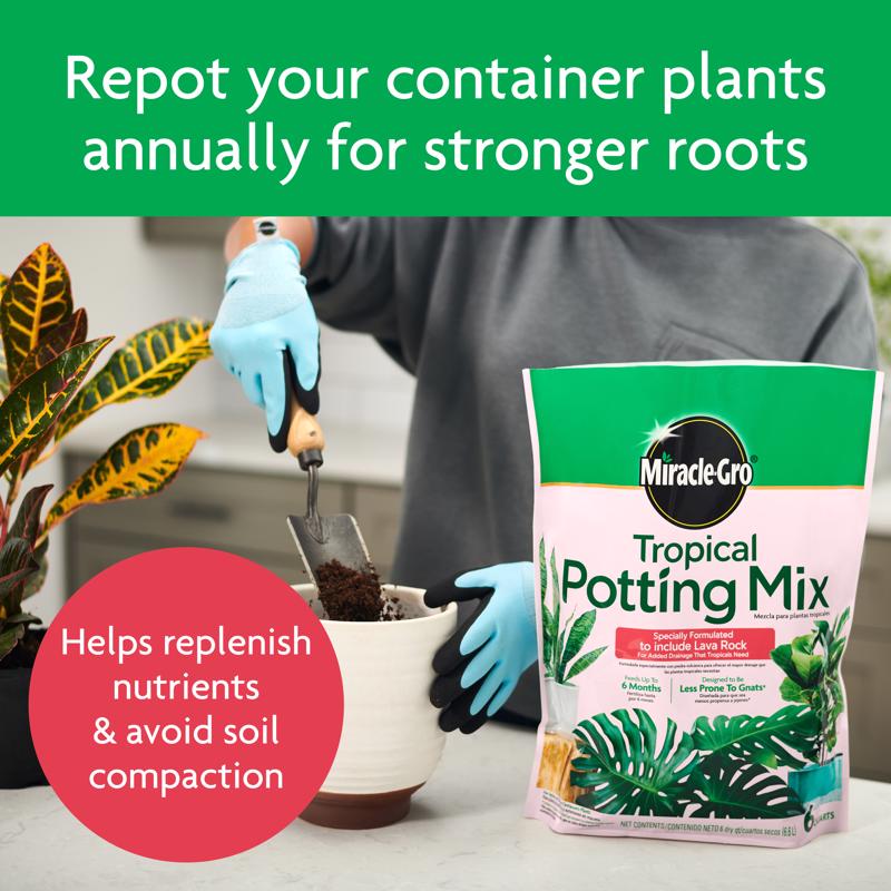 Miracle-Gro Tropical Cacti, Citrus and Palm Potting Mix 6 qt