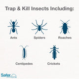 Safer Insect Trap