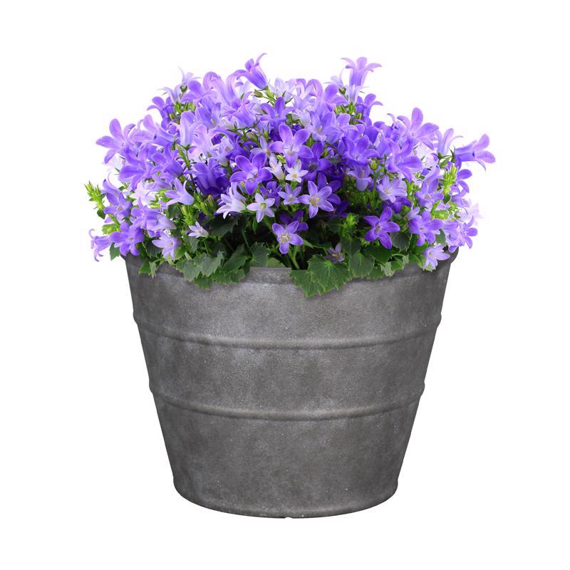 L&G Solutions 12 in. H X 16 in. D Polyresin Hamilton Planter Charcoal