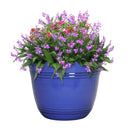 L&G Solutions 11 in. H X 14.5 in. D Polyresin Galileo Planter Cobalt