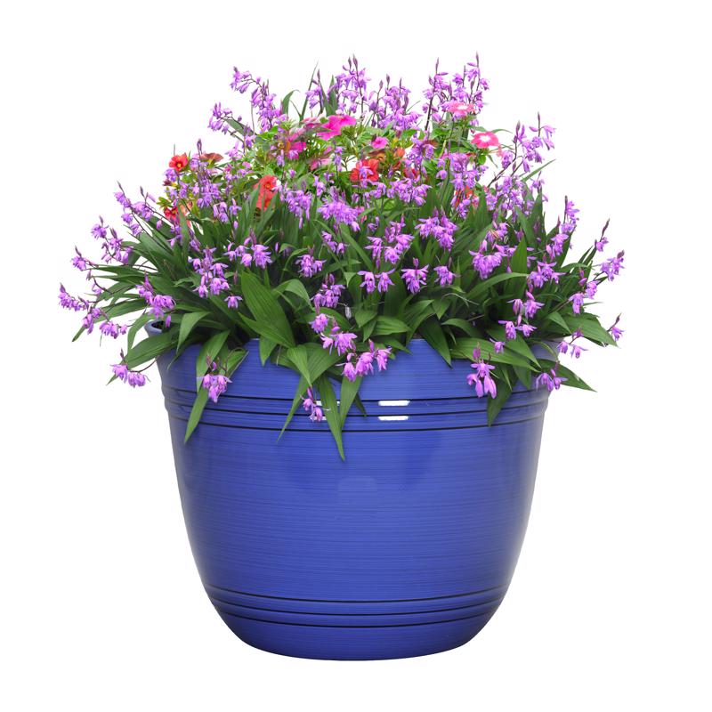 L&G Solutions 11 in. H X 14.5 in. D Polyresin Galileo Planter Cobalt