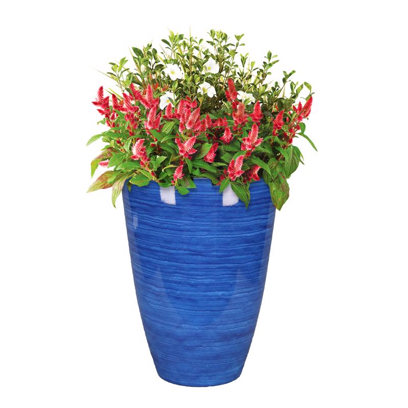 L&G Solutions 22 in. H X 16 in. D Polyresin Baja Planter Cobalt