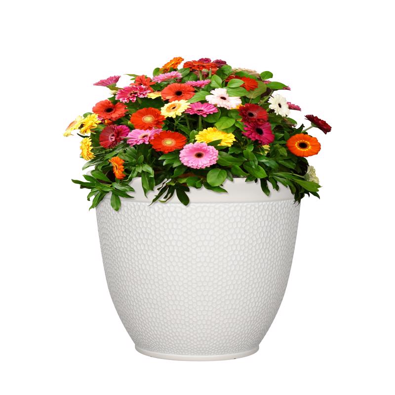 L&G Solutions 13 in. H X 16 in. D Polyresin Shea Planter White