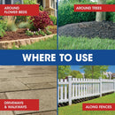 Roundup Weed and Grass Killer RTU Liquid 1 gal