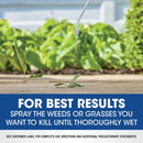 Roundup Weed and Grass Killer RTU Liquid 1 gal